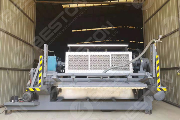 Beston Fruit Tray Making Machine