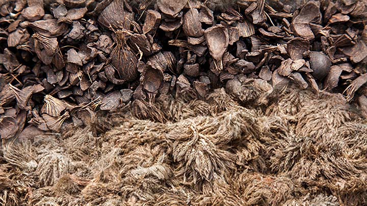 Plantation Waste Recycling Business Plan