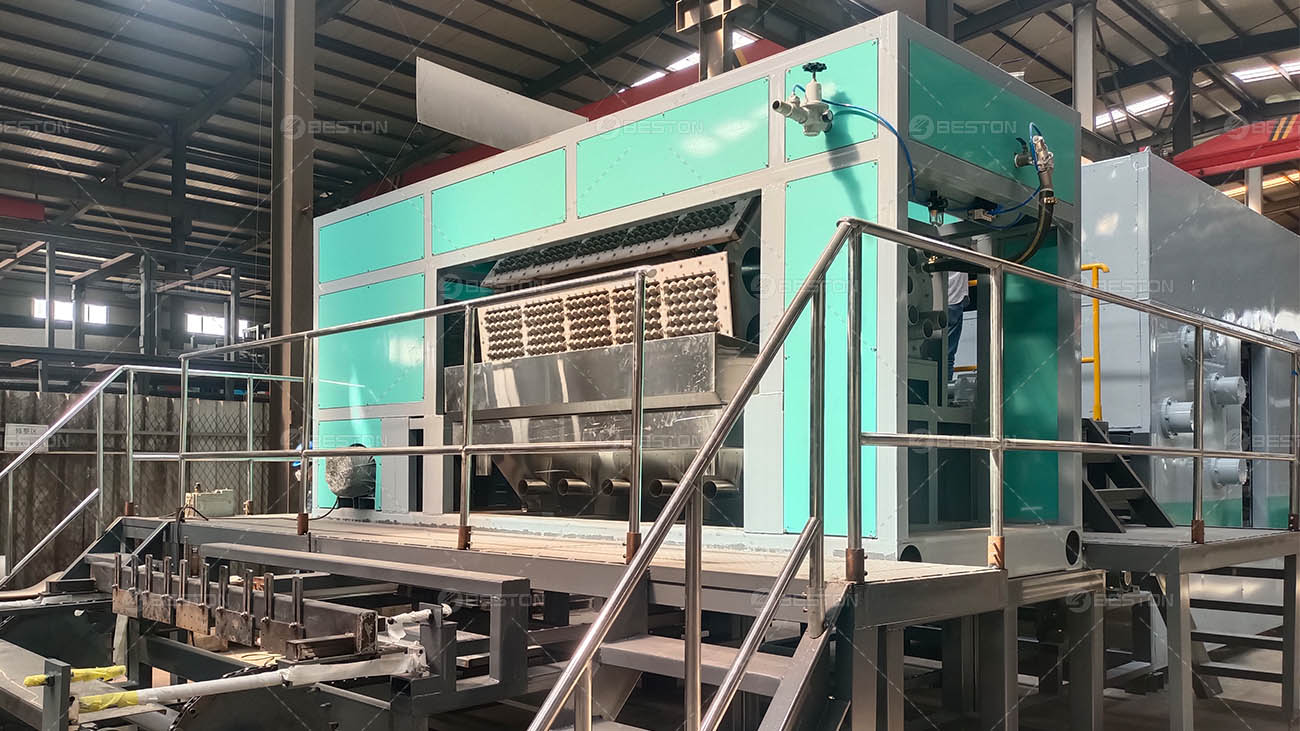 BTF5-8 Egg Tray Making Machine